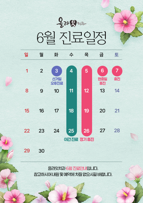 진료일정