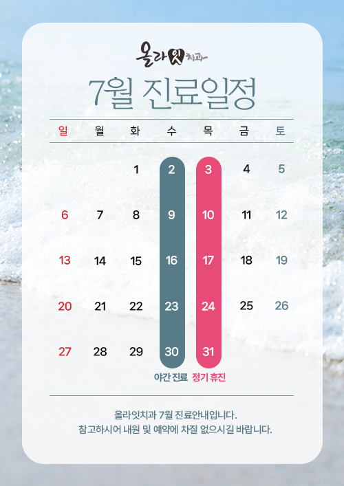진료일정