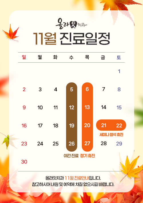 11월 진료일정