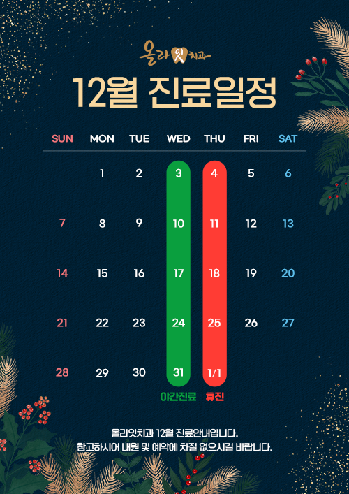 12월 진료일정